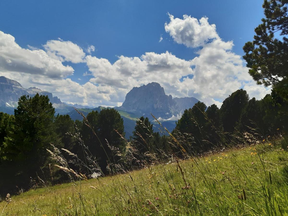 Garni Franca B&B Selva di Val Gardena Exteriér fotografie