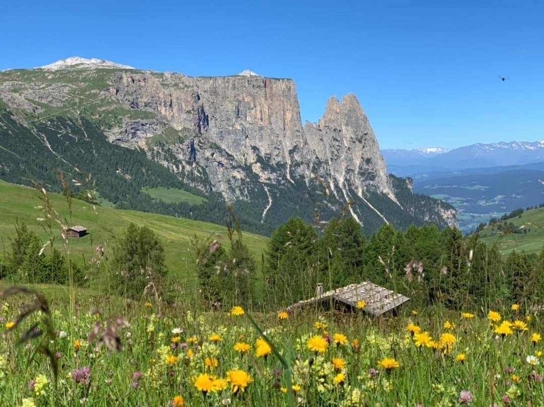 Garni Franca B&B Selva di Val Gardena Exteriér fotografie