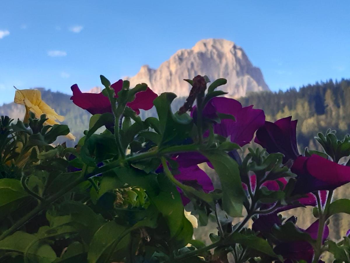 Garni Franca B&B Selva di Val Gardena Exteriér fotografie