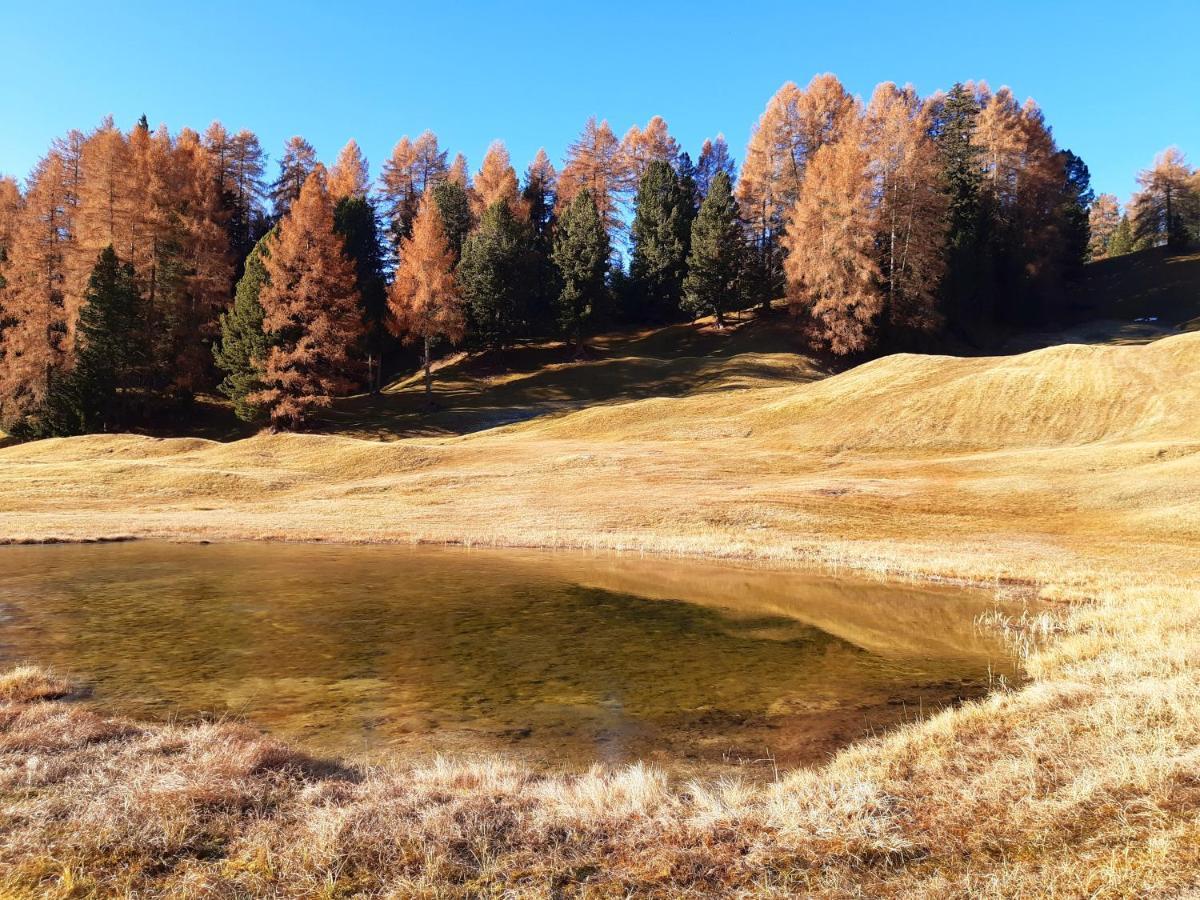 Garni Franca B&B Selva di Val Gardena Exteriér fotografie