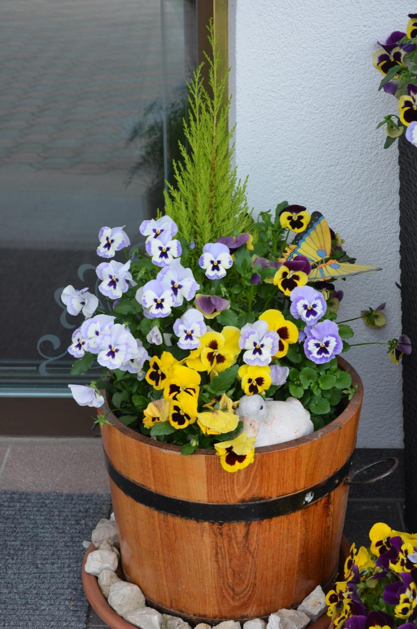 Garni Franca B&B Selva di Val Gardena Exteriér fotografie